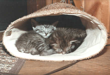scan0002.tif